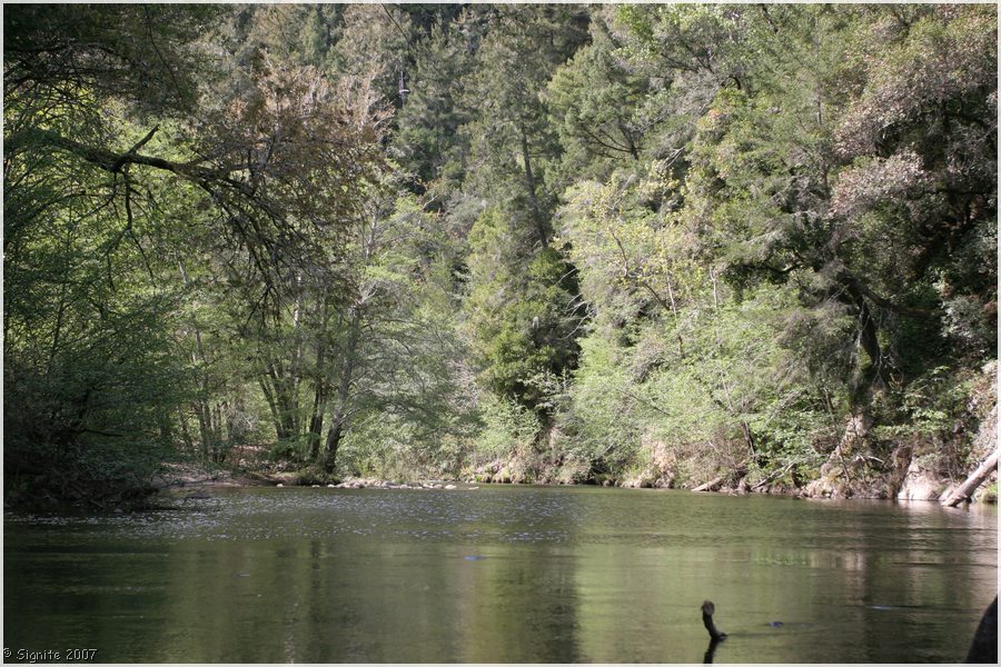 Click to view next image