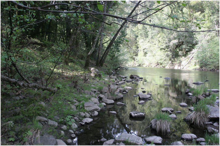 Click to view next image