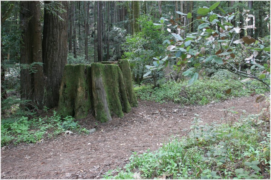 Click to view next image