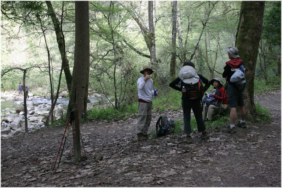 Click to view next image