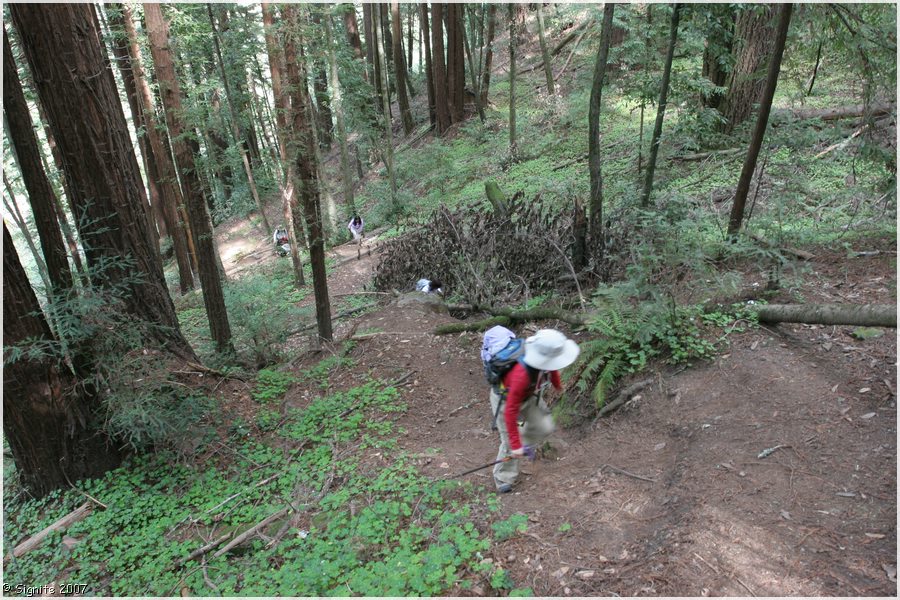 Click to view next image