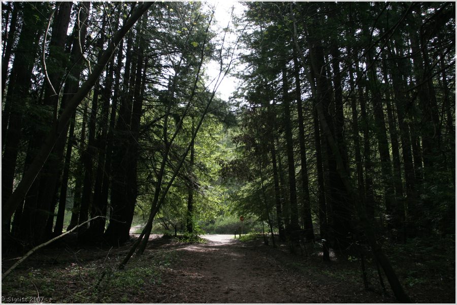 Click to view next image