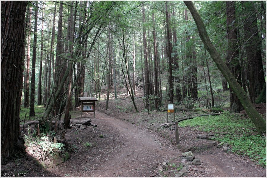 Click to view next image