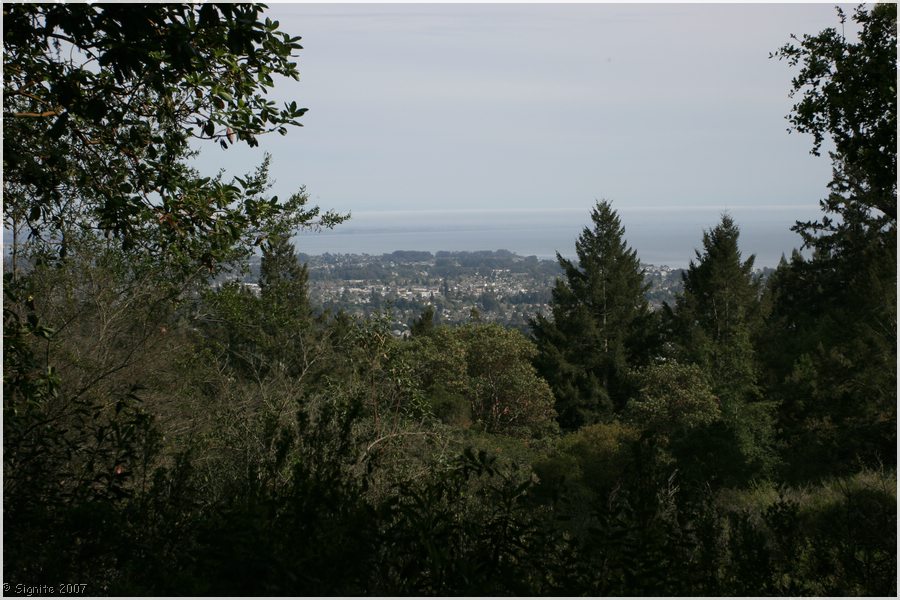 Click to view next image