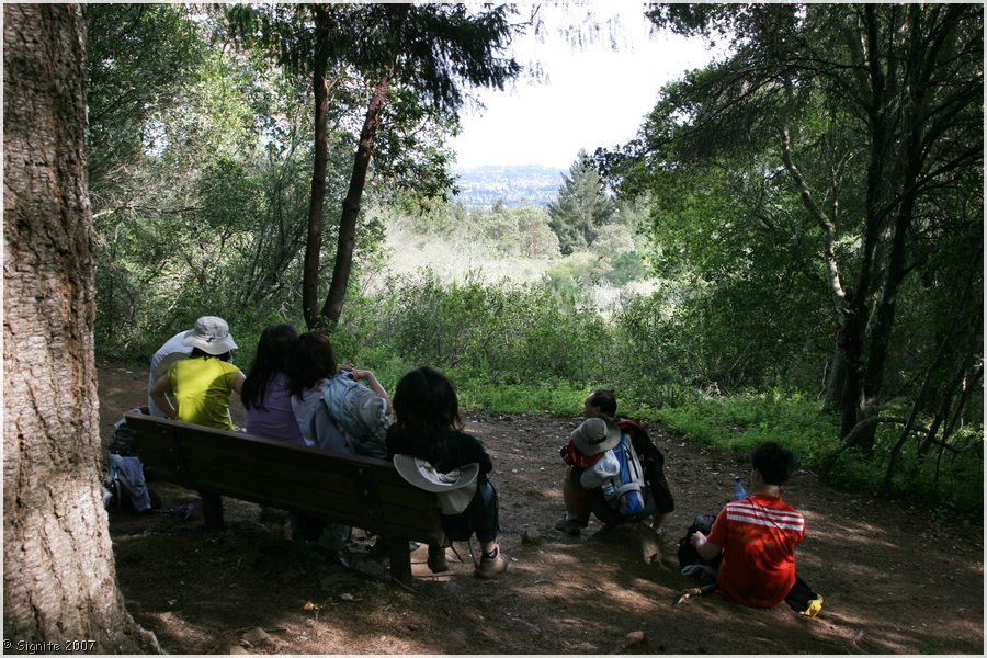 Click to view next image