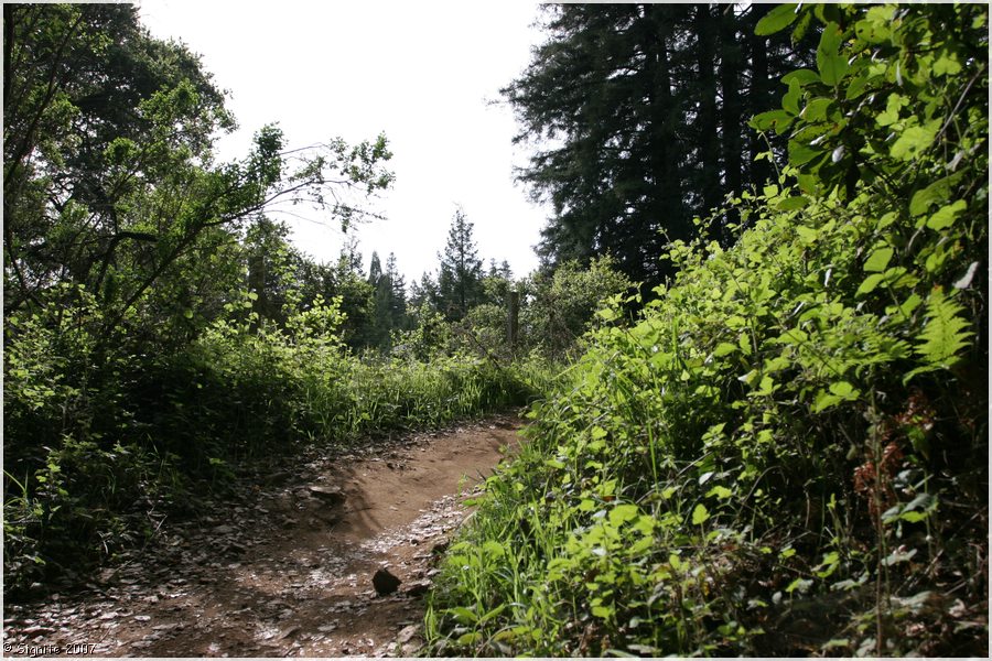 Click to view next image