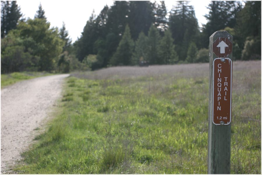 Click to view next image