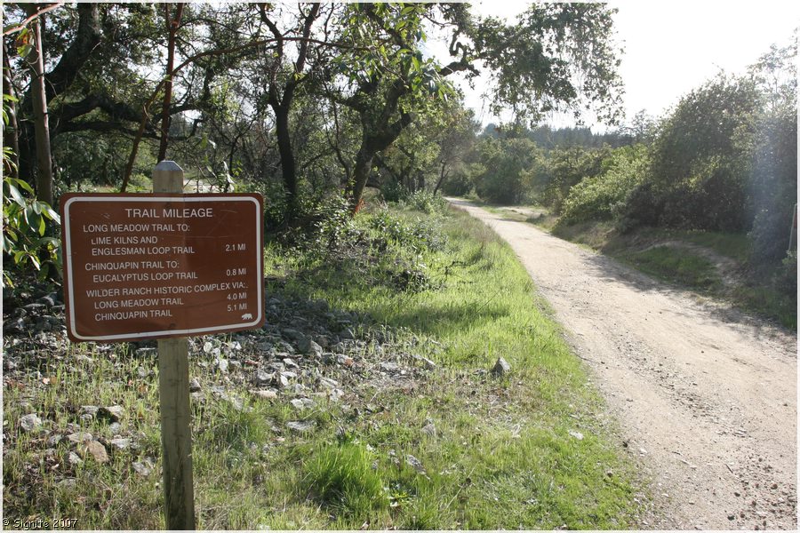 Click to view next image