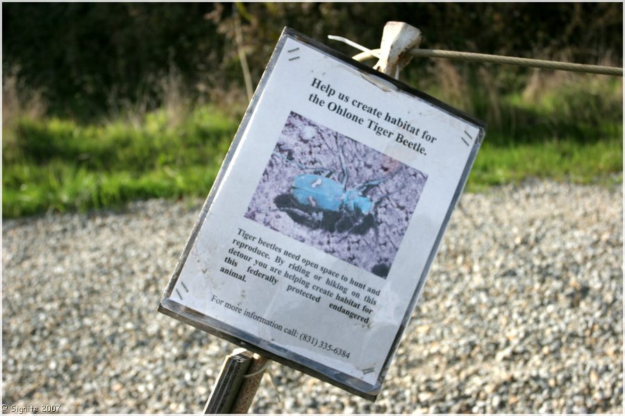 Click to view next image