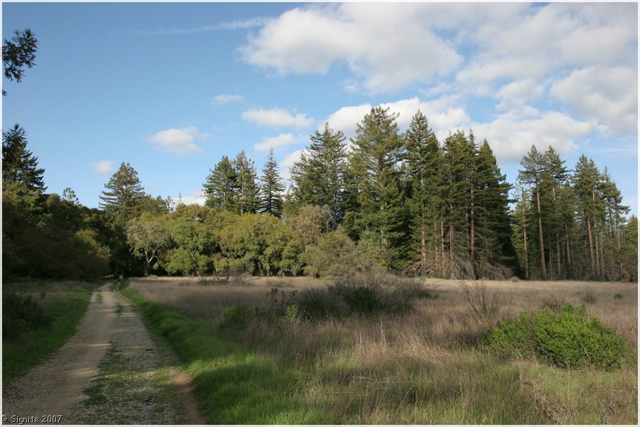 Click to view next image