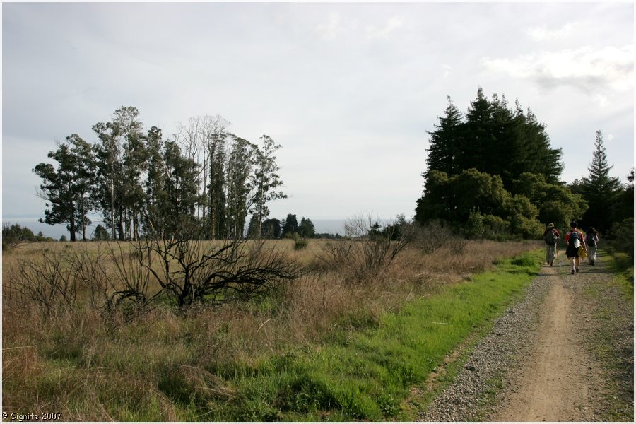 Click to view next image