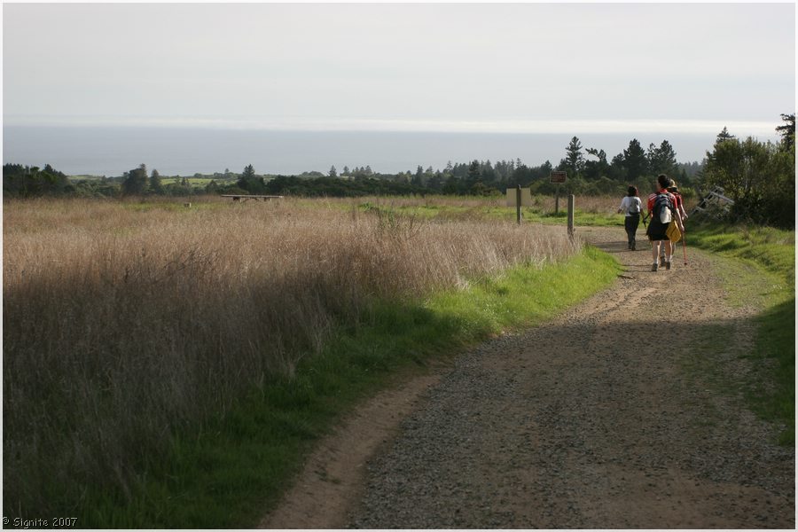 Click to view next image