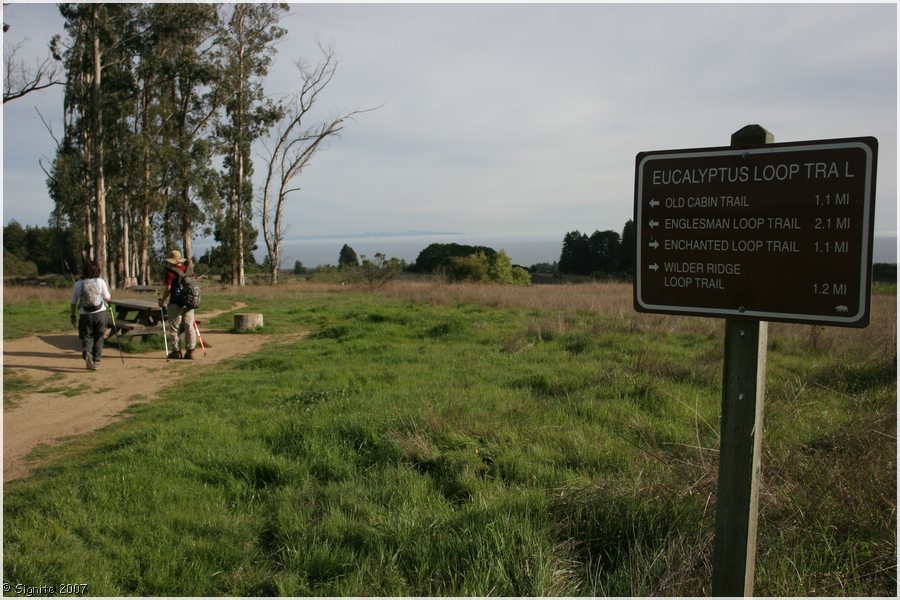 Click to view next image