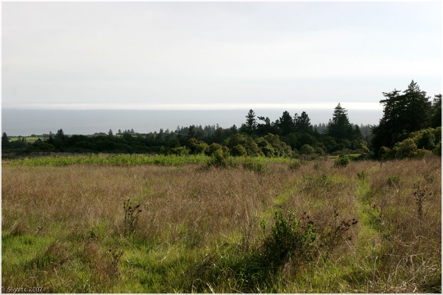 Click to view next image