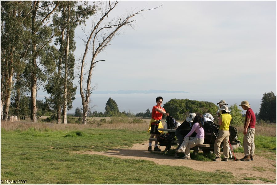 Click to view next image