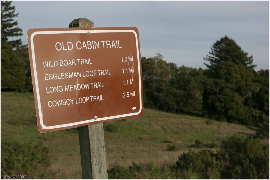 Click to view next image