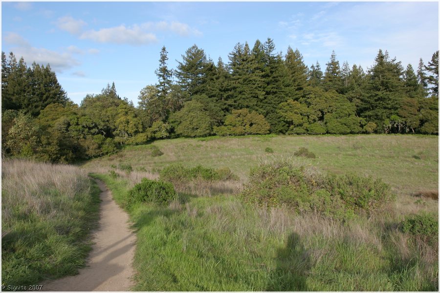 Click to view next image