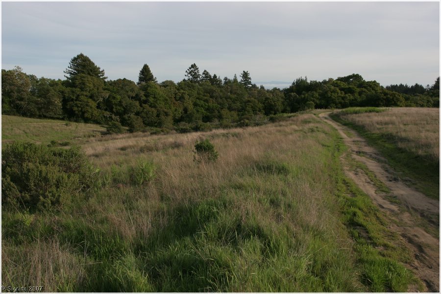 Click to view next image