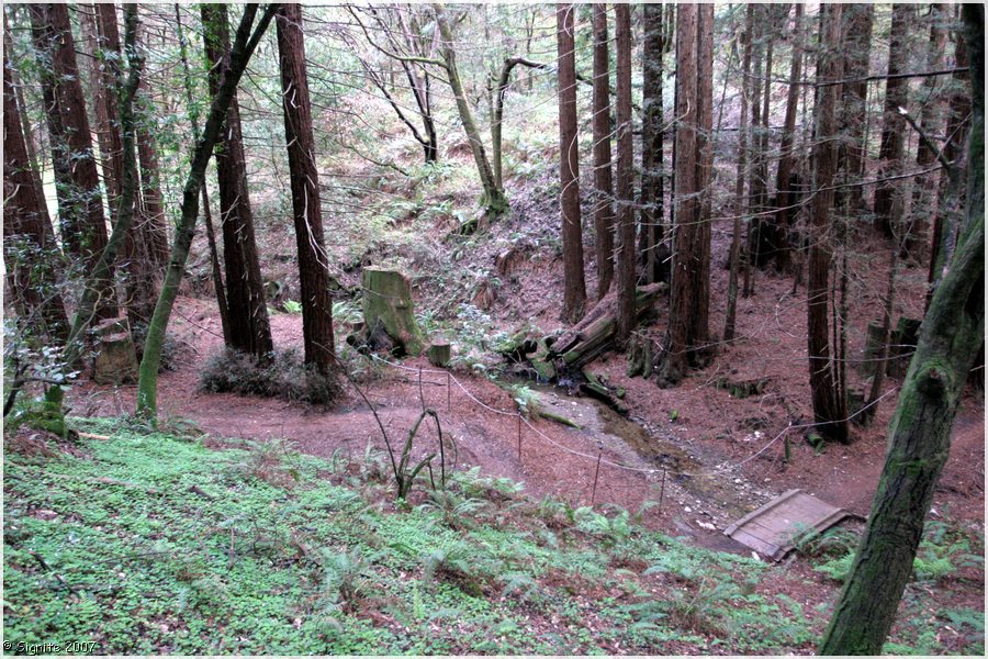 Click to view next image