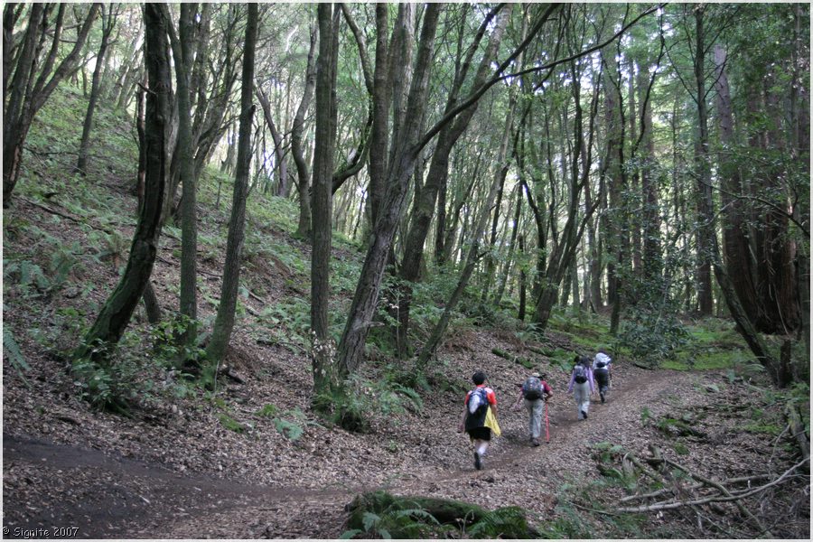 Click to view next image