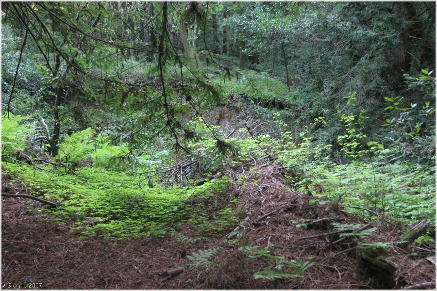 Click to view next image