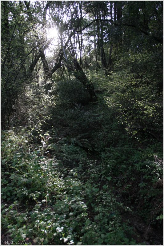 Click to view next image