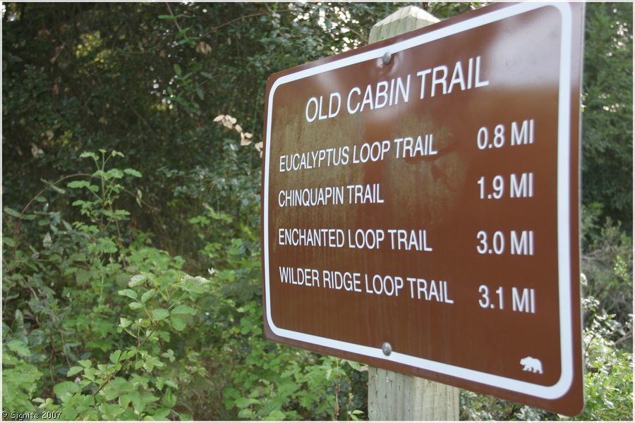 Click to view next image