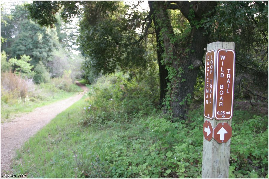 Click to view next image