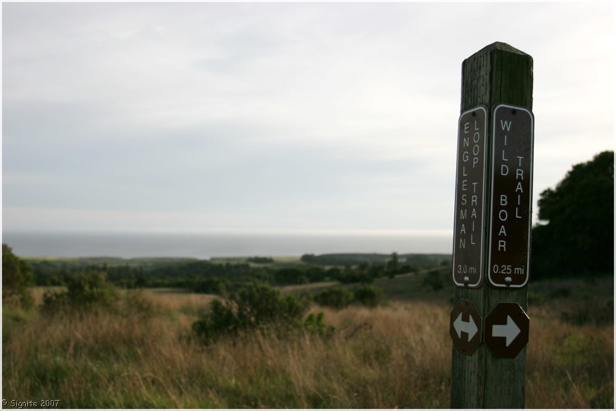 Click to view next image