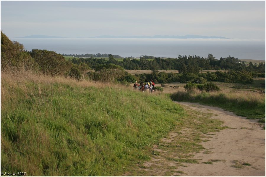 Click to view next image