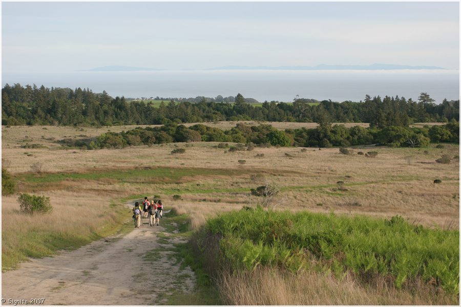 Click to view next image