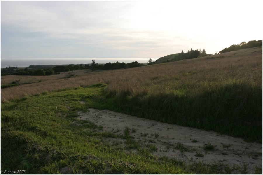 Click to view next image