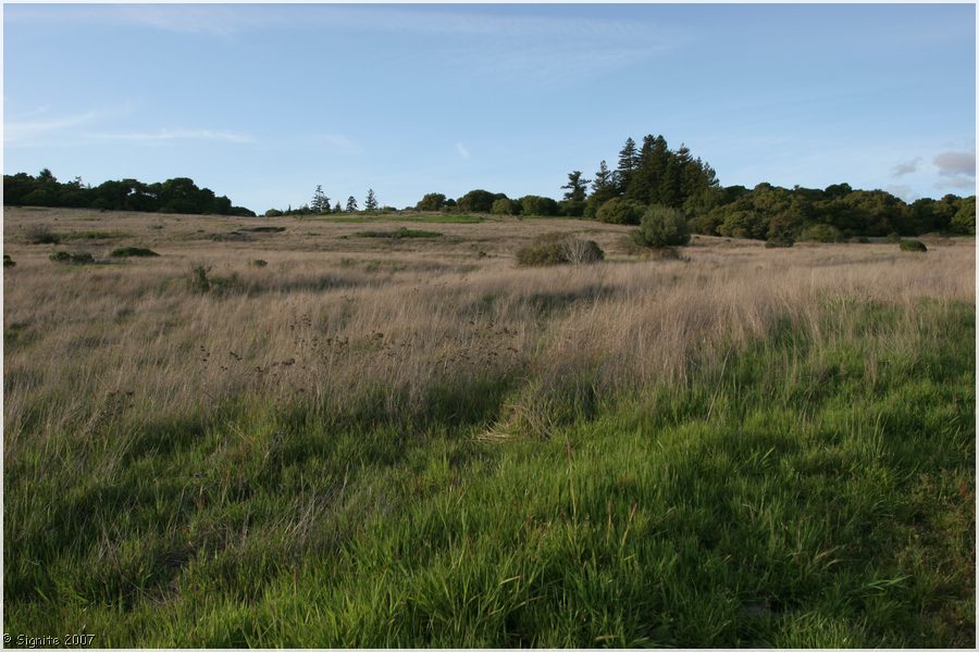 Click to view next image