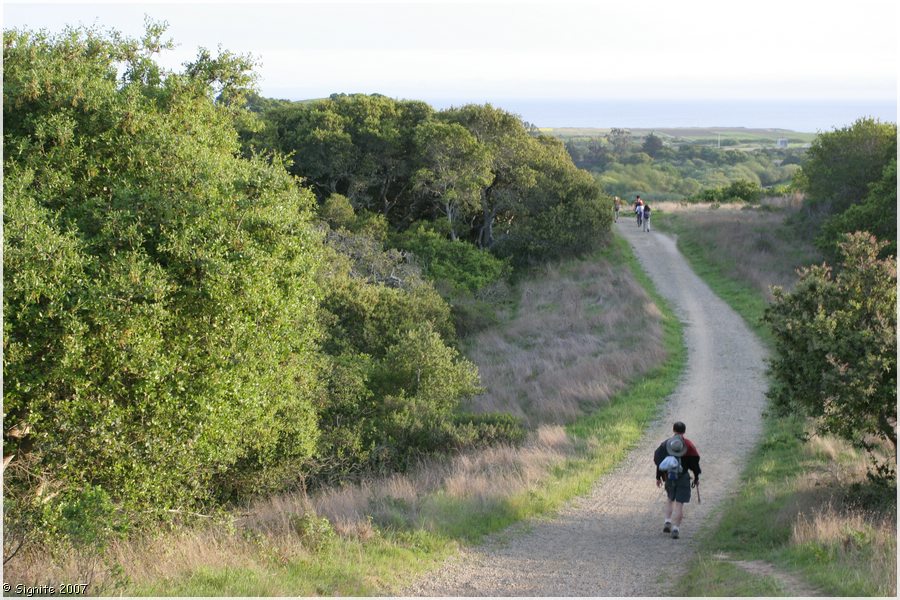 Click to view next image