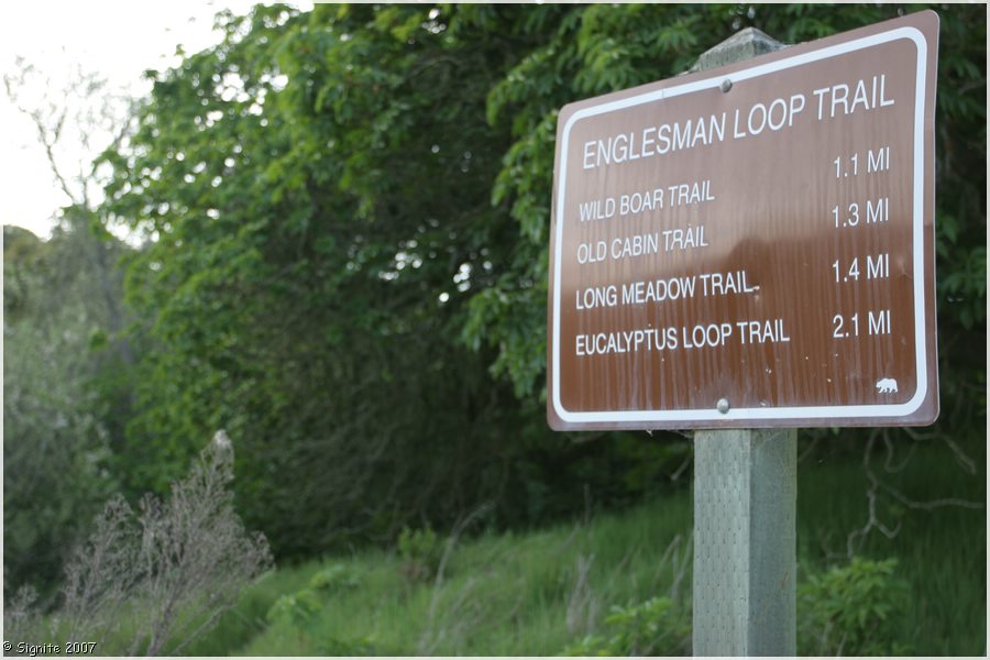 Click to view next image