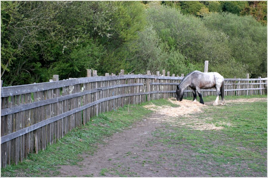 Click to view next image