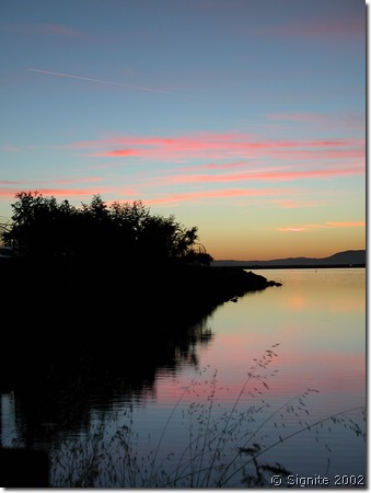 DSCN1856.JPG