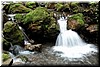 Purisima Creek - a small waterfall (about 3 ft tall)