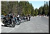 A large group of bikers visiting the park