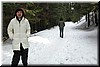 Trail to Tuolumne grove, home of giant sequoias.