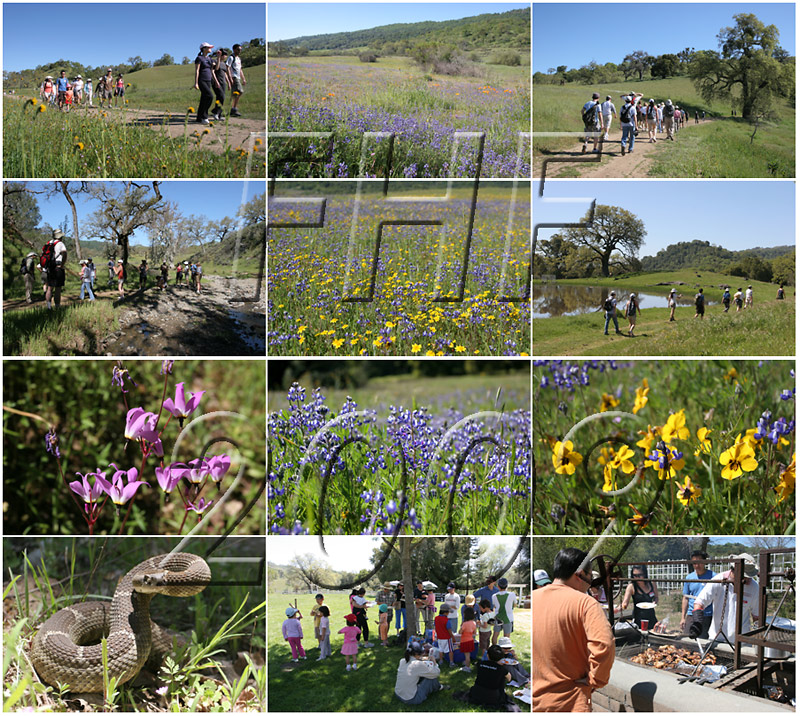 Click to view photos (87) from this event