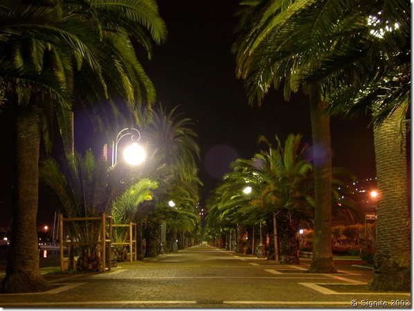 DSCN7132.JPG