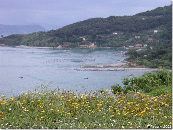 DSCN7212.JPG