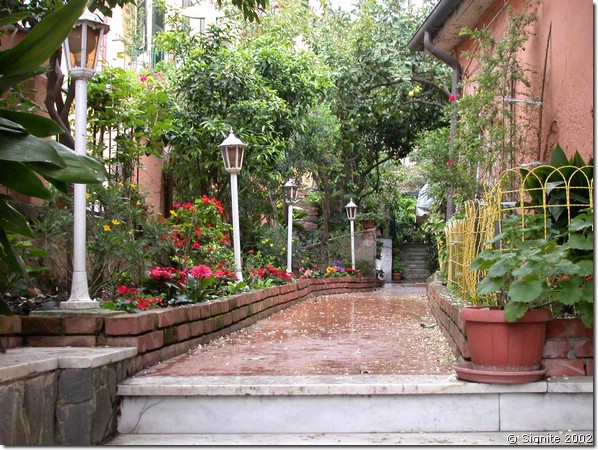 DSCN7244.JPG