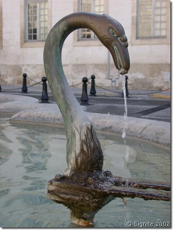DSCN7726.JPG