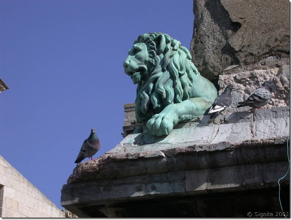 DSCN7731.JPG