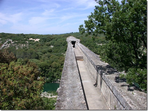 DSCN7785.JPG