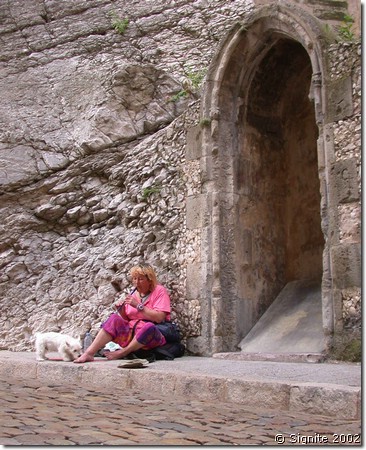 DSCN7857.JPG