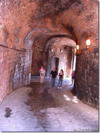 DSCN7987.JPG
