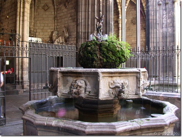 DSCN8028.JPG